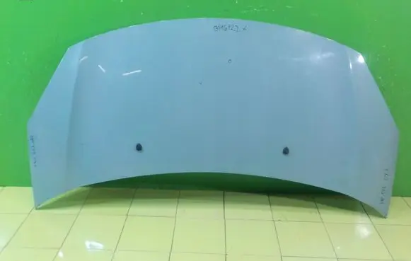 Citroen C3 Engine bonnet/hood WP173