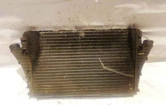 Fiat Croma Intercooler radiator 13205149
