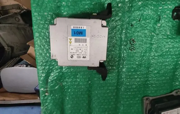 Hyundai Santa Fe Other control units/modules 95250S1000