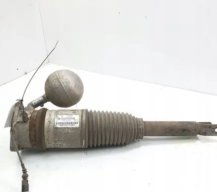 Volkswagen Phaeton Rear shock absorber/damper 3D0616002J