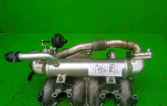 Volkswagen Sharan Intake manifold