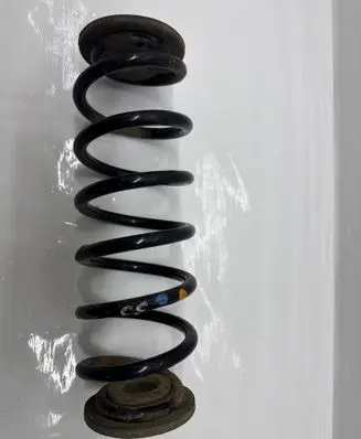 Rear coil spring