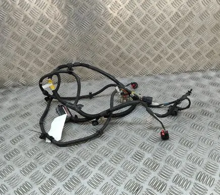 Tesla Model Y Other wiring loom 248905901A