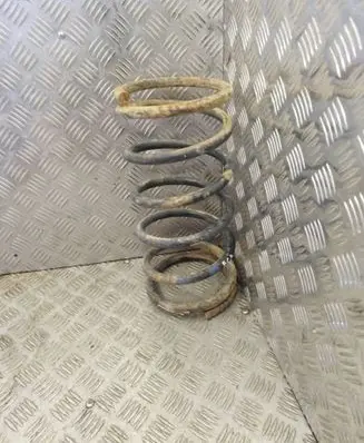 Rear coil spring