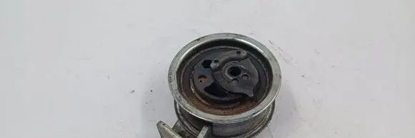 Volkswagen PASSAT B5 Timing belt/chain tensioner 