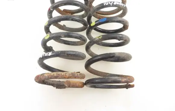 Rear coil spring