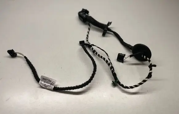 Volkswagen Tiguan Rear door wiring loom 5NN971694
