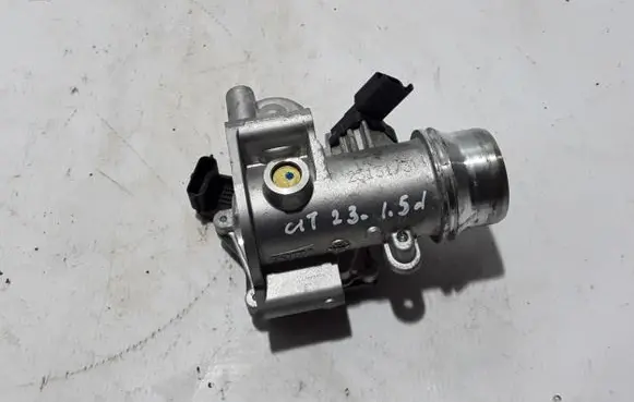 Mercedes-Benz Citan II Throttle valve 161A01874R