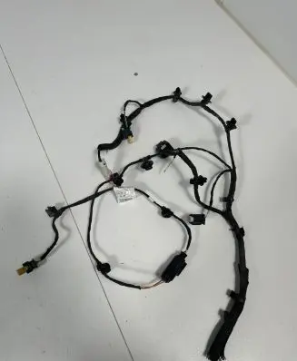 Other wiring loom
