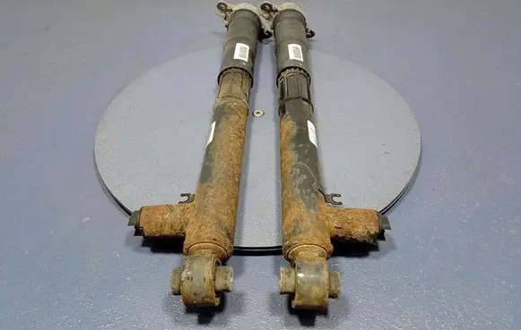 Rear shock absorber/damper