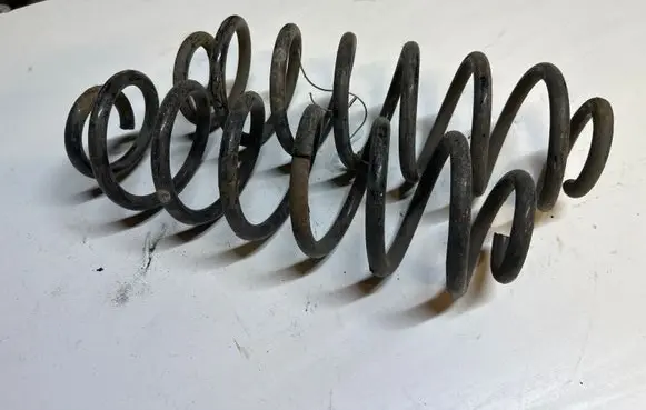 Volkswagen PASSAT B6 Rear coil spring