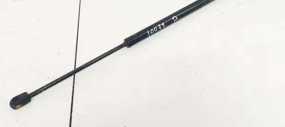 Tailgate/trunk strut/damper