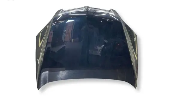 Opel Antara Engine bonnet/hood