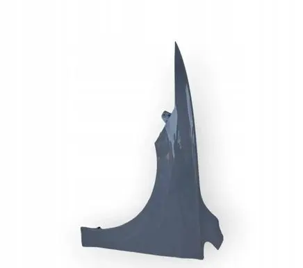 Volkswagen Golf VIII Fender 5H0821105B