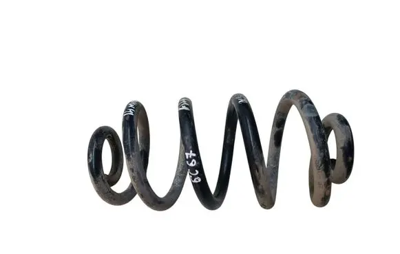 Rear coil spring