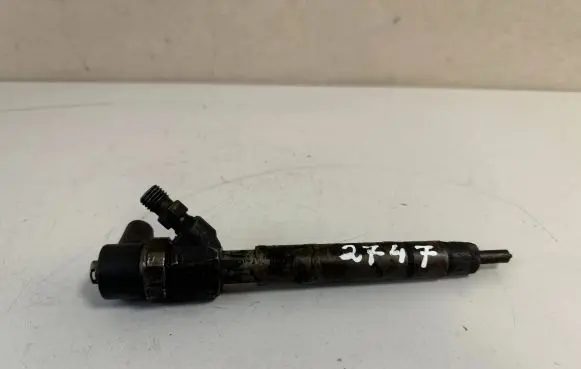Mercedes-Benz S W220 Fuel injector A6130700187