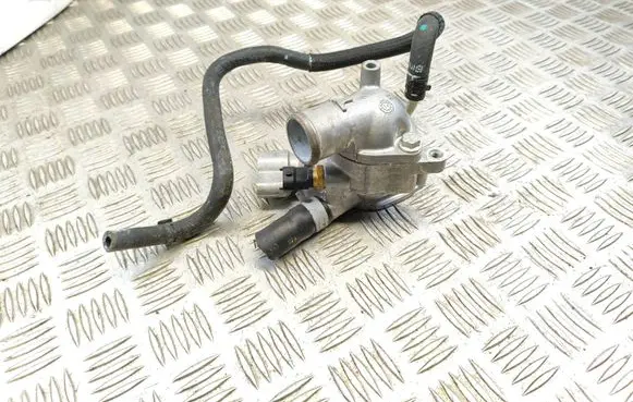 Thermostat/thermostat housing