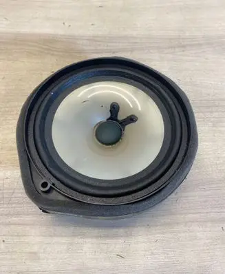 Front door speaker