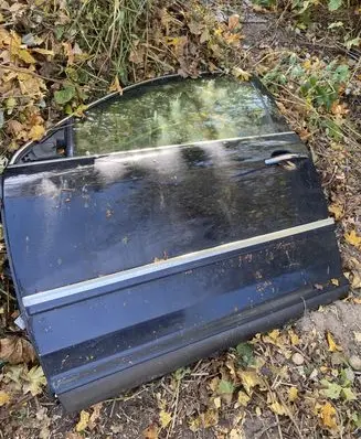 Volkswagen Phaeton Front door