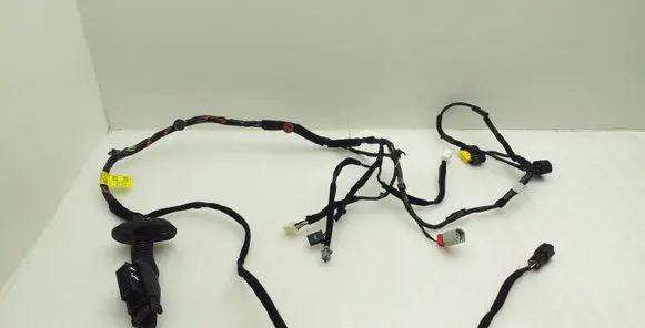 Hyundai Kona I Front door wiring loom 91981J9030 2520925044