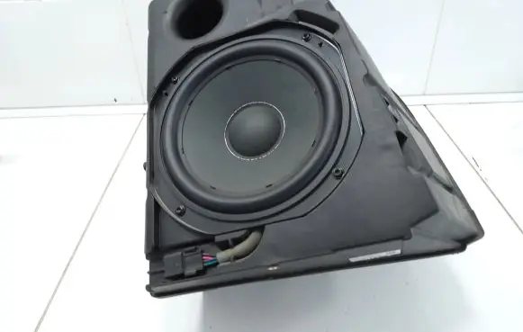 Tesla Model 3 Subwoofer speaker 107974700