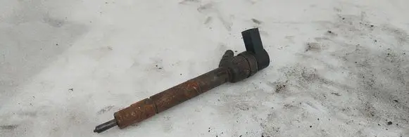 Mercedes-Benz C W203 Fuel injector A6130700587 0445110095