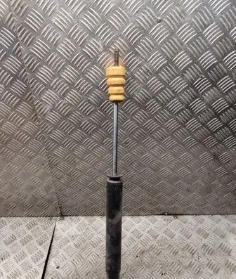 Hyundai Santa Fe Rear shock absorber/damper