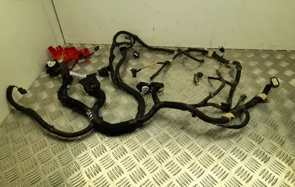 Ford Mustang Mach-E Other wiring loom LJ8T12B637NBH