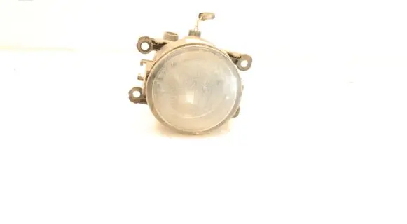 Front fog light
