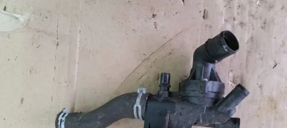 Thermostat/thermostat housing