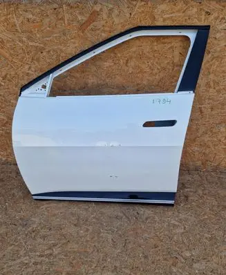 KIA EV6 Front door D794