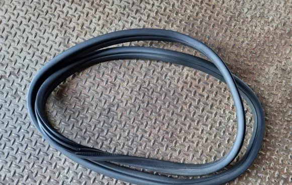 BMW 1 F40 Rear door rubber seal (on body) 7452335