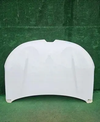 Engine bonnet/hood