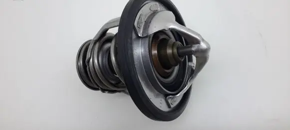 Toyota RAV 4 (XA30) Thermostat 