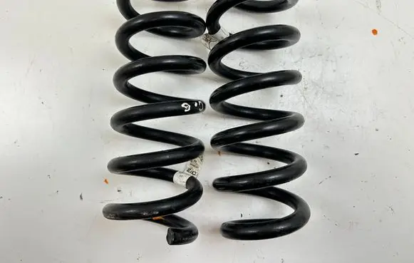 Rear coil spring