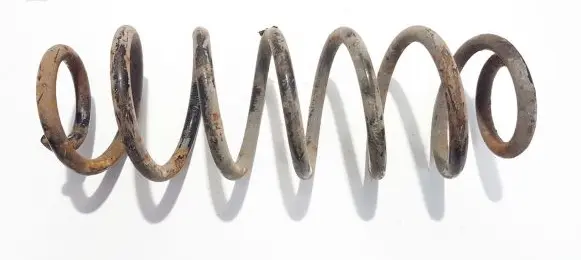 Seat Toledo II (1M) Rear coil spring