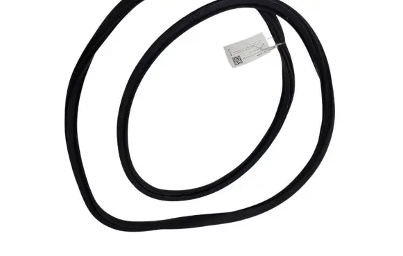 Citroen C4 II Picasso Rubber seal front door (on door) 