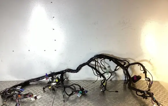 Tesla Model S Other wiring loom 200442200A
