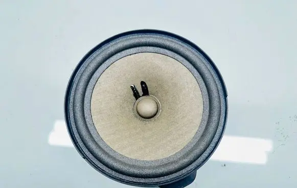 Front door speaker