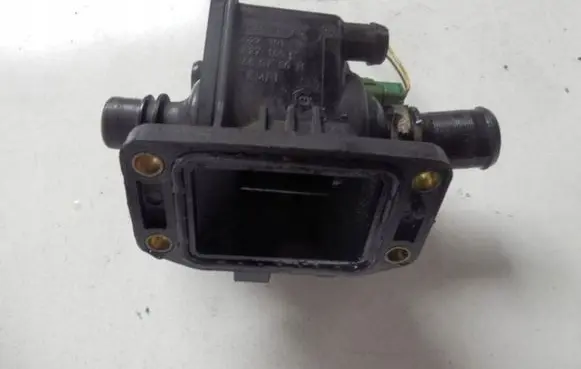 Thermostat/thermostat housing