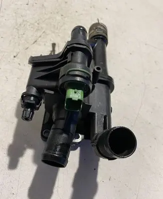 Thermostat/thermostat housing