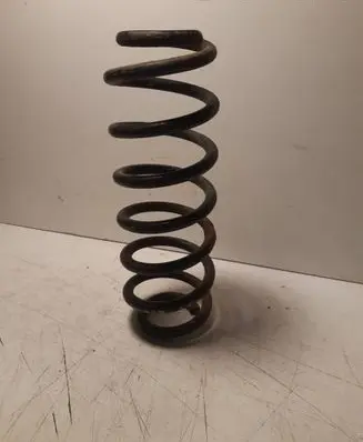 Volkswagen PASSAT B6 Rear coil spring