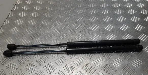 Renault Latitude (L70) Rear shock absorber/damper 904520001R