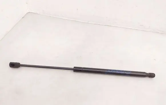 Ford Mustang Mach-E Front bonnet/hood damper/strut LJ8BR16C826AB