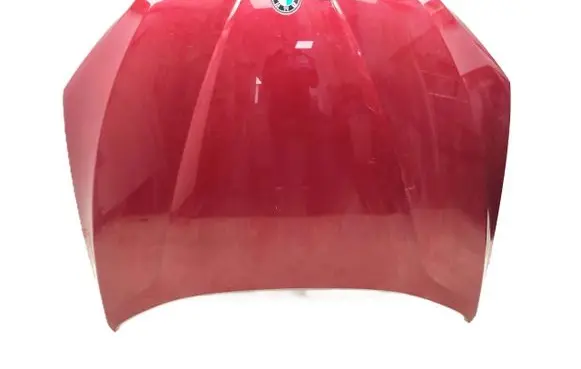BMW X1 E84 Engine bonnet/hood 