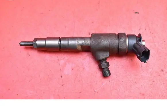 Citroen Berlingo Fuel injector 0445110566
