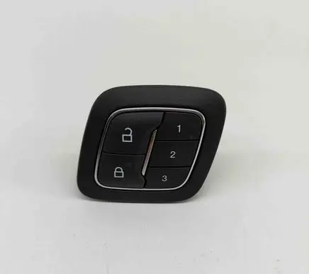 Ford Mustang Mach-E Central locking switch button LJ8B218A83B