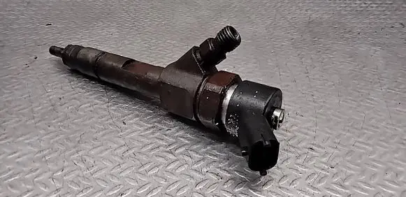 Renault Megane II Fuel injector 8200100272 0445110110B