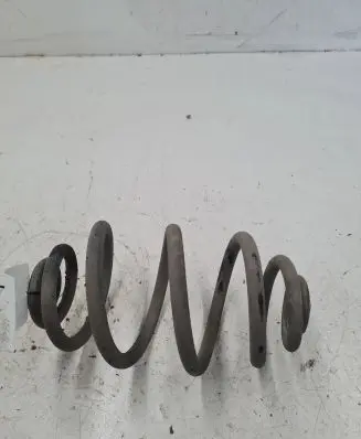 Volkswagen PASSAT B5.5 Rear coil spring