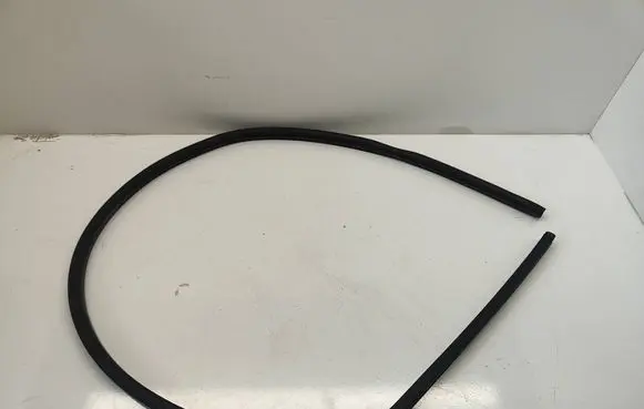 Dodge Challenger Rubber seal front coupe door 5160346aa